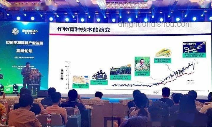**女孩乘滑翔伞事故：自我解安全绳与规范操作对比分析**
